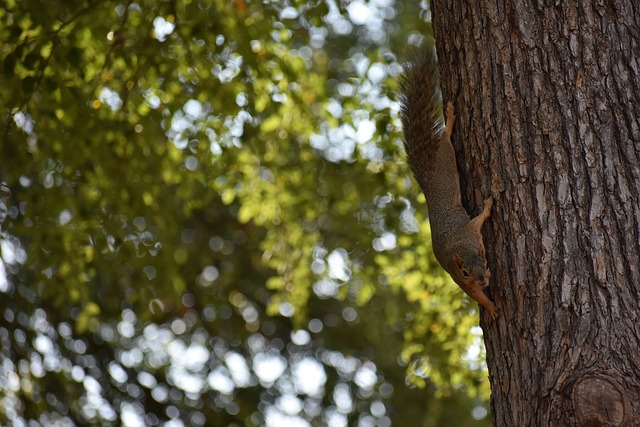 负的分水岭 负的分水岭
