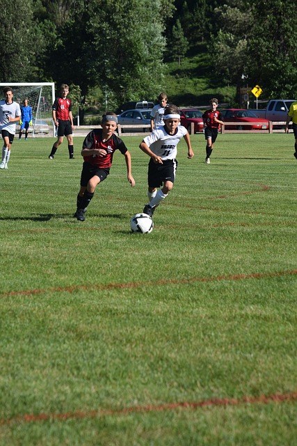 湖人為保持 湖人為保持