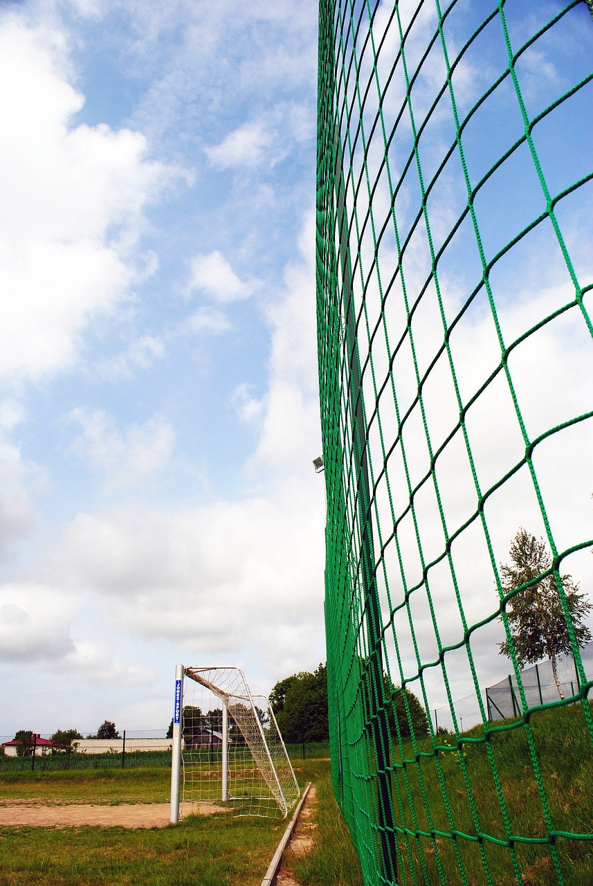 這將顯著影 這將顯著影