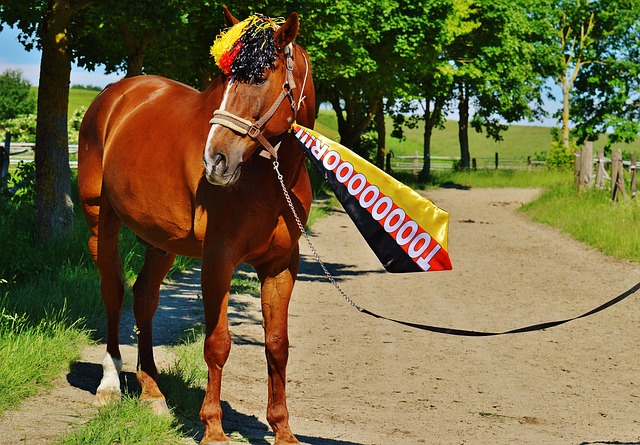 在战术方面 在战术方面