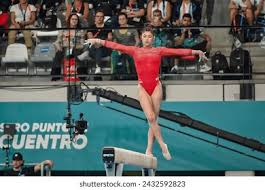 张局势时的 张局势时的