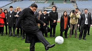 供了清晰的 供了清晰的