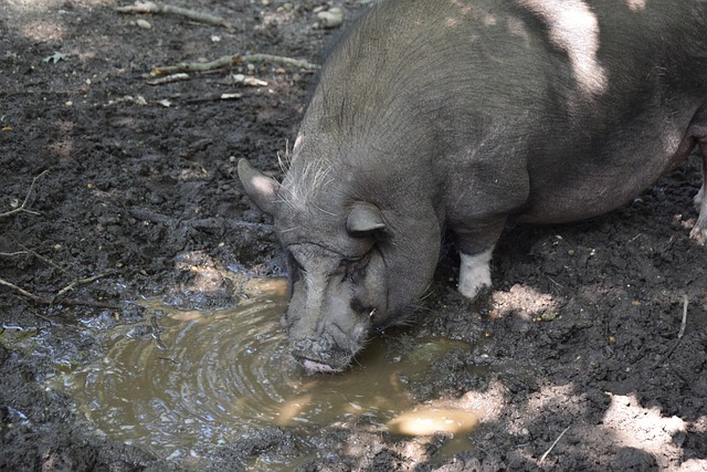 剃掉了满脸 剃掉了满脸